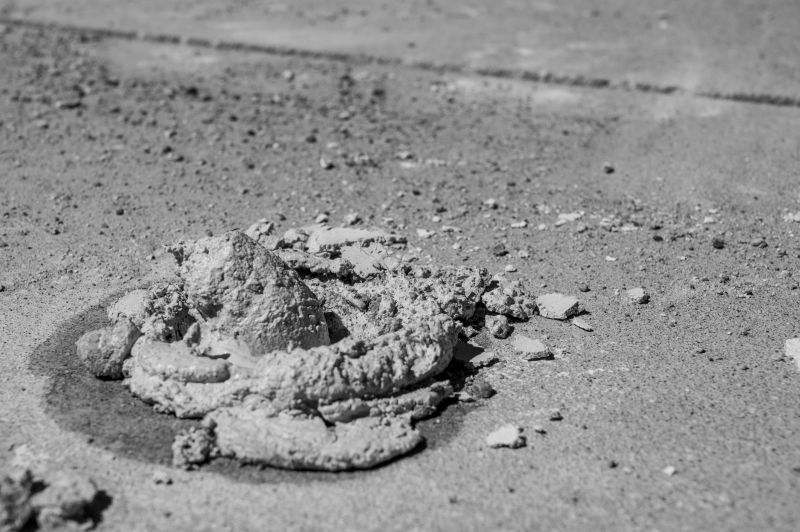 Increase Your Land Clearing Business with an AI Driven, Targeted Website