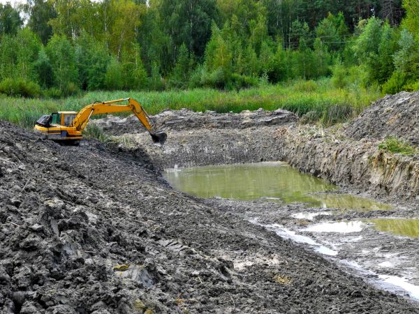 Lake Lot Clearing in Loveland