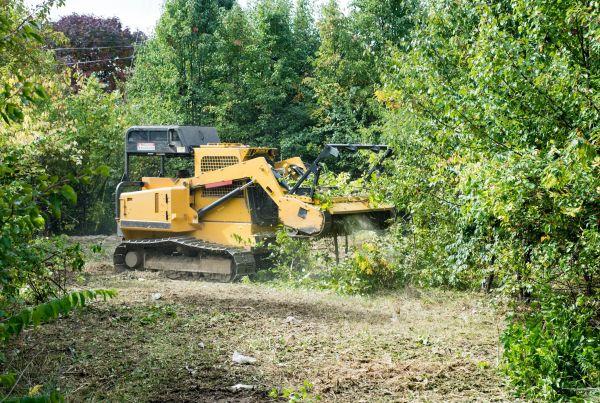 Pathway Clearing in Loveland