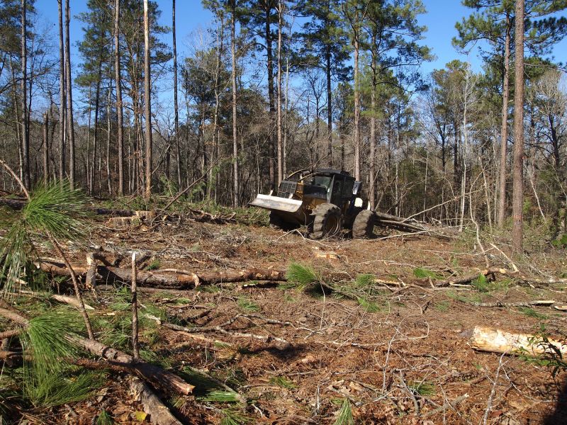 Land Clearing