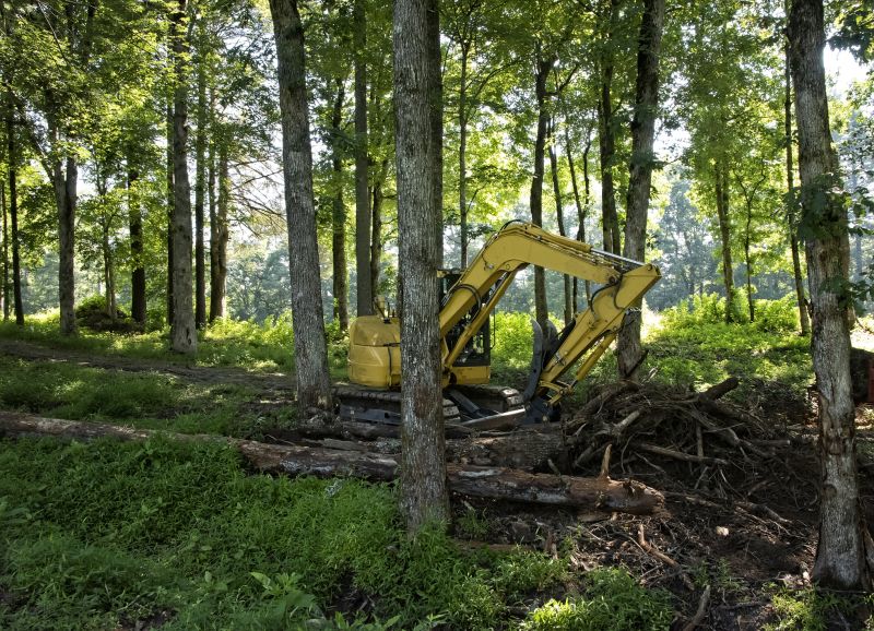 Heavy Machinery Clearing Land