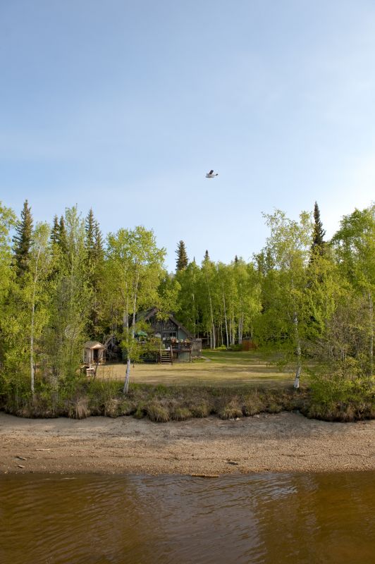 Post-Clearing Landscape