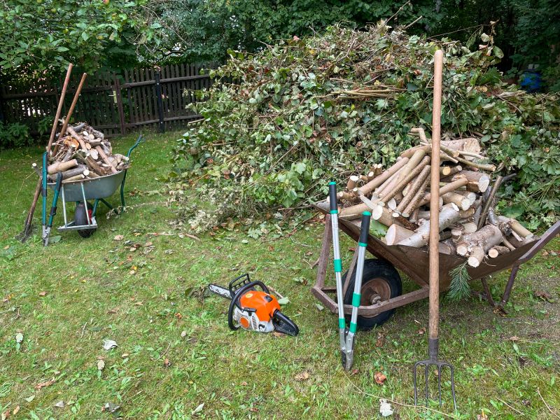Debris Removal and Site Cleanup
